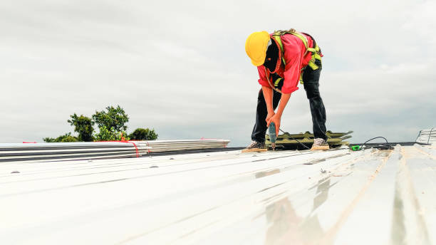 Best Asphalt Shingles Roofing  in Osage City, KS
